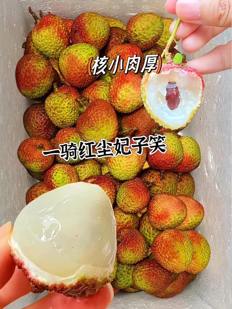 福建荔枝精品妃子笑对接电商市场商超可视频看货