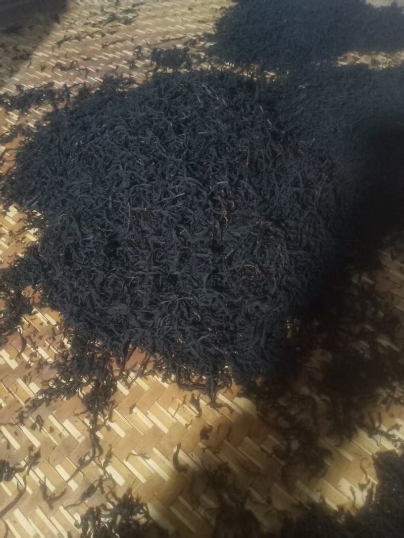 高山金牡丹茶叶产地直发量大从优质量保证诚信经营
