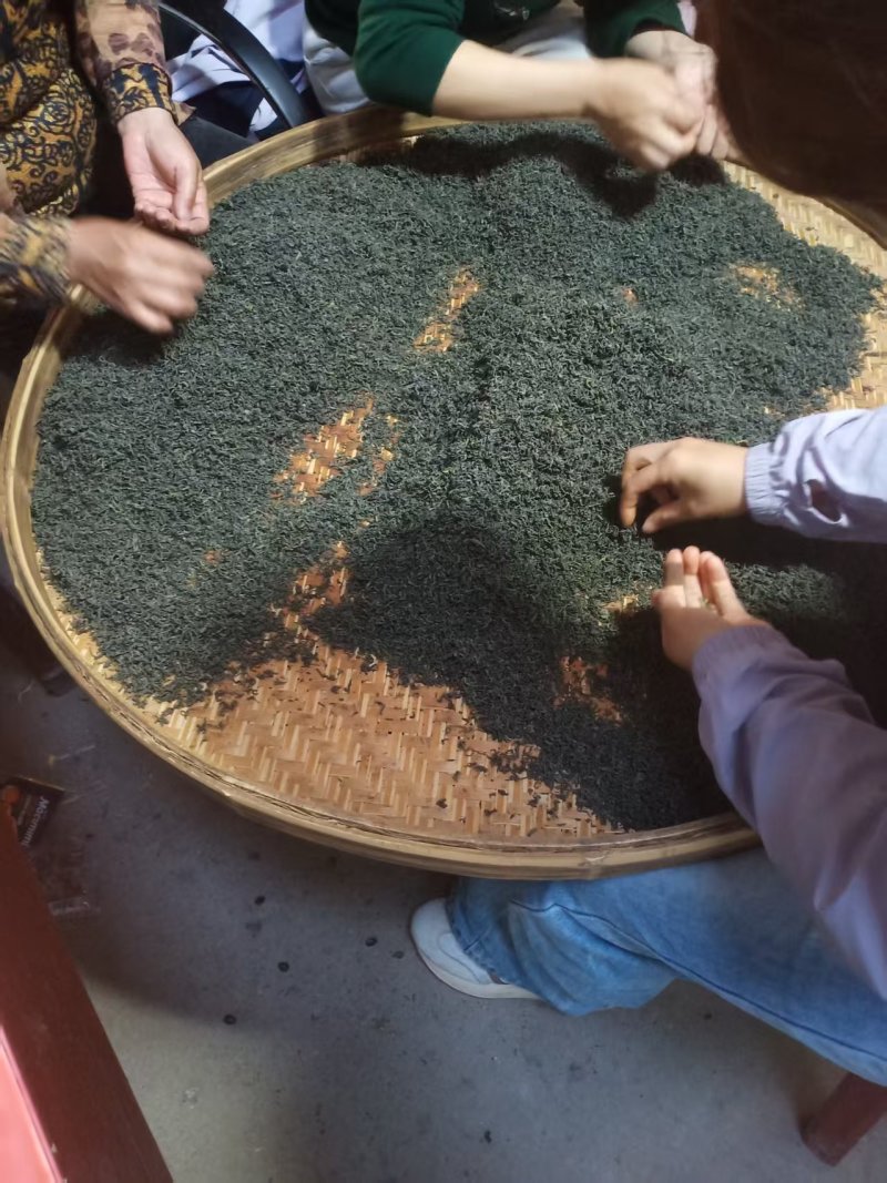 高山金牡丹茶叶产地直发量大从优质量保证诚信经营