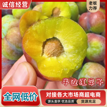 精品李子半边红李子红脆李基地直供价格实惠供全国