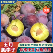 推荐四川李子五月脆李子脱骨李产地一手货源量大从优