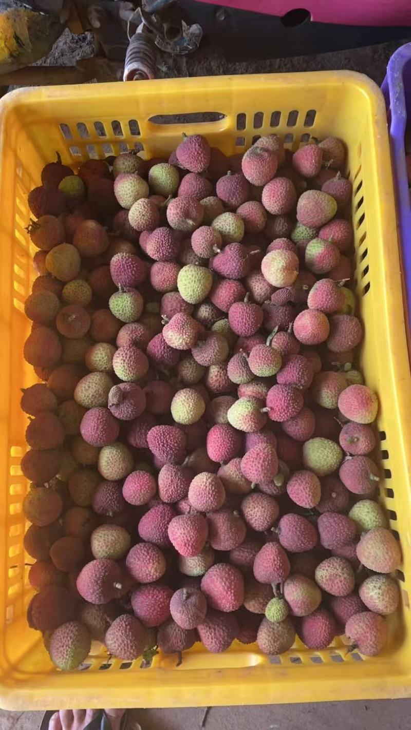海南妃子笑荔枝大量上市，产地直发，品质保障，价格美丽