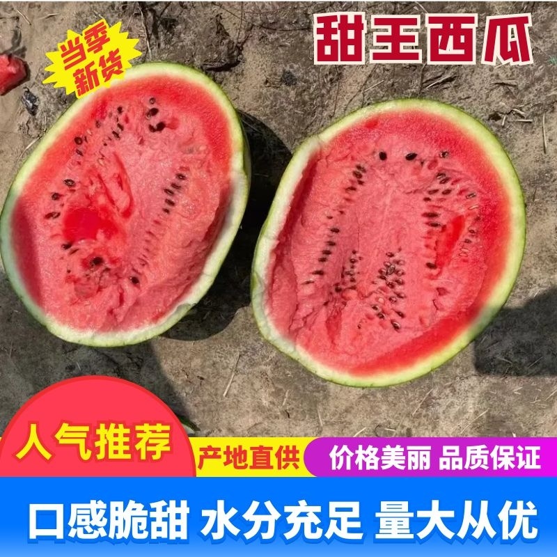 新疆吐鲁番精品甜王西瓜/产地直发量大从优欢迎老板来电