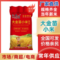 黄小米产地直供颗颗饱满米油粘稠对接电商市场等