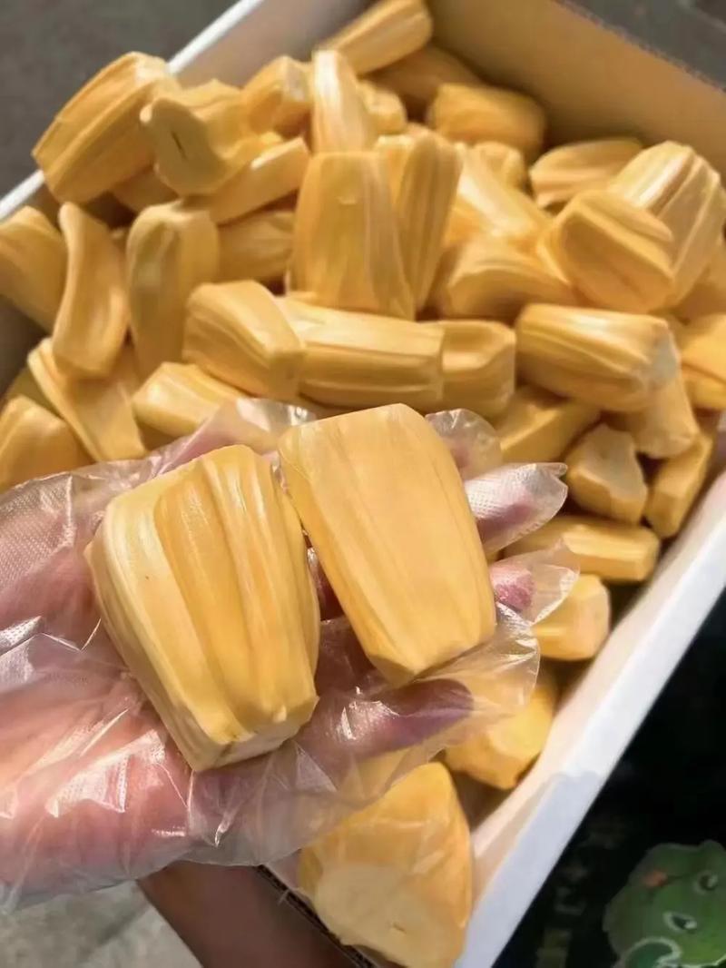 海南菠萝蜜马来西亚1号泰八红肉一手货源可视频
