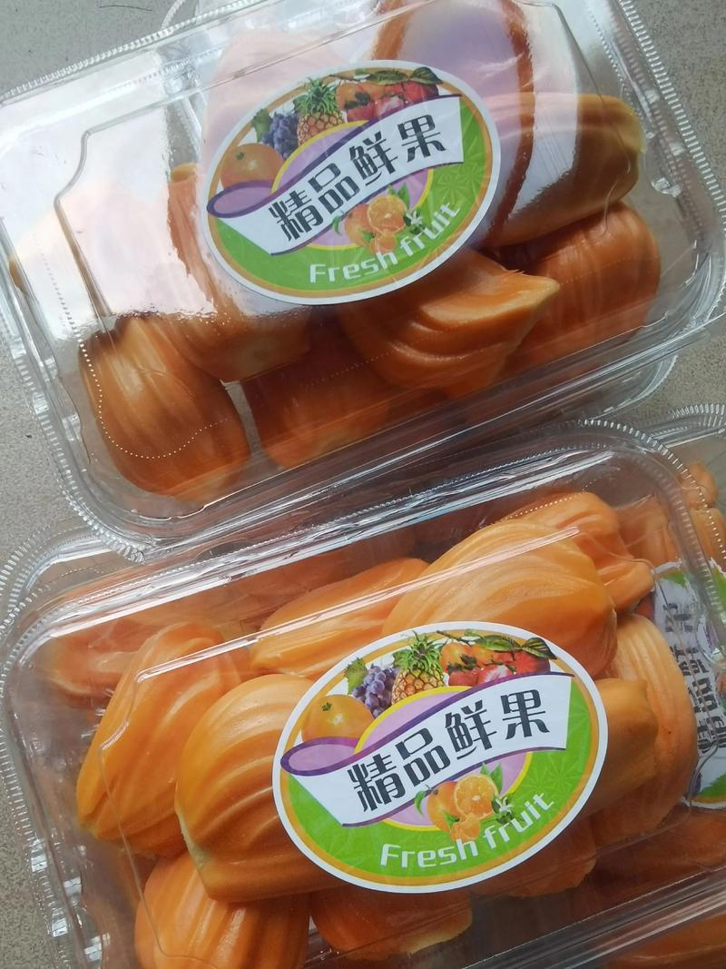 海南菠萝蜜马来西亚1号泰八红肉一手货源可视频