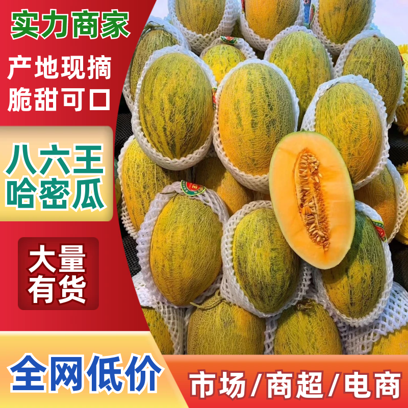 新疆喀什伽师八六王产地直供品种齐全对接全国