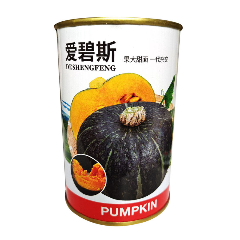 爱碧斯南瓜种子青绿皮粉面糯板栗盆栽农蔬菜孑大田基地基地