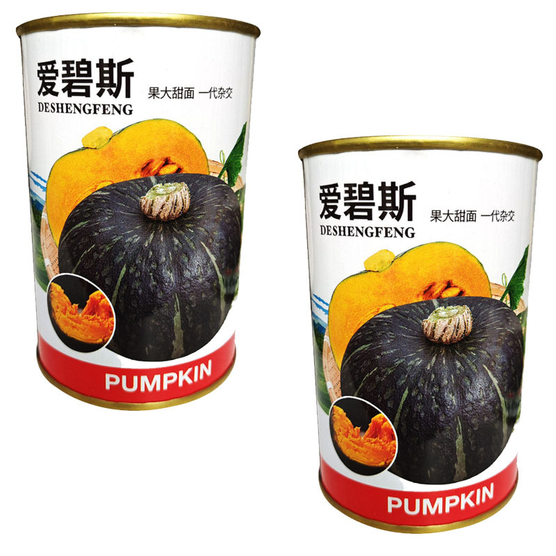 爱碧斯南瓜种子青绿皮粉面糯板栗盆栽农蔬菜孑大田基地基地