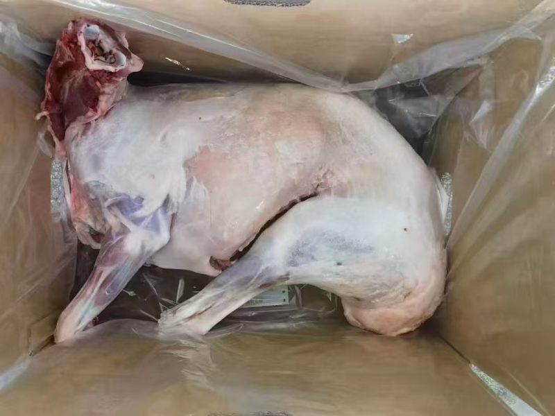 内蒙精品全羊羊肉，工厂直发量大从优货源充足欢迎来电