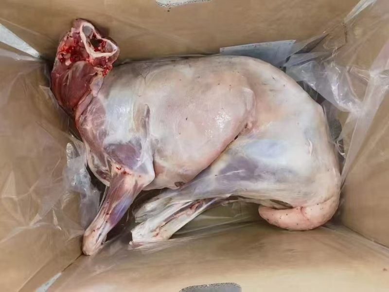 内蒙精品全羊羊肉，工厂直发量大从优货源充足欢迎来电