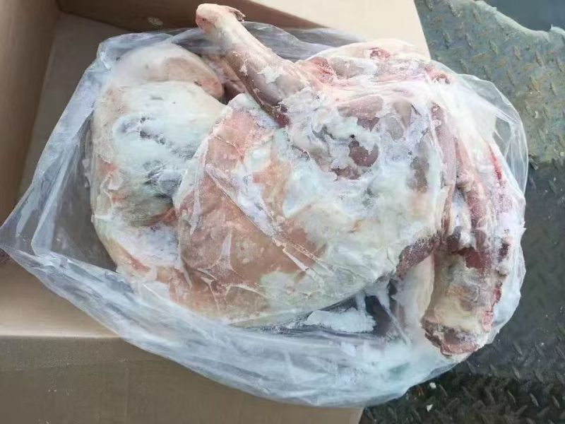内蒙精品全羊羊肉，工厂直发量大从优货源充足欢迎来电