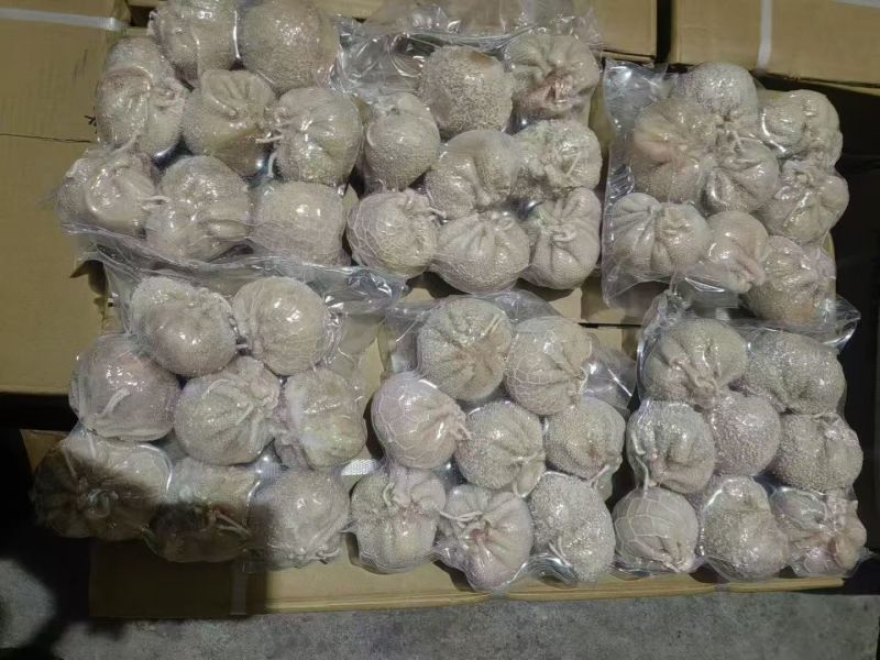 肚包肉内蒙精品肚包肉，工厂直发量大从优货源充足欢迎来电