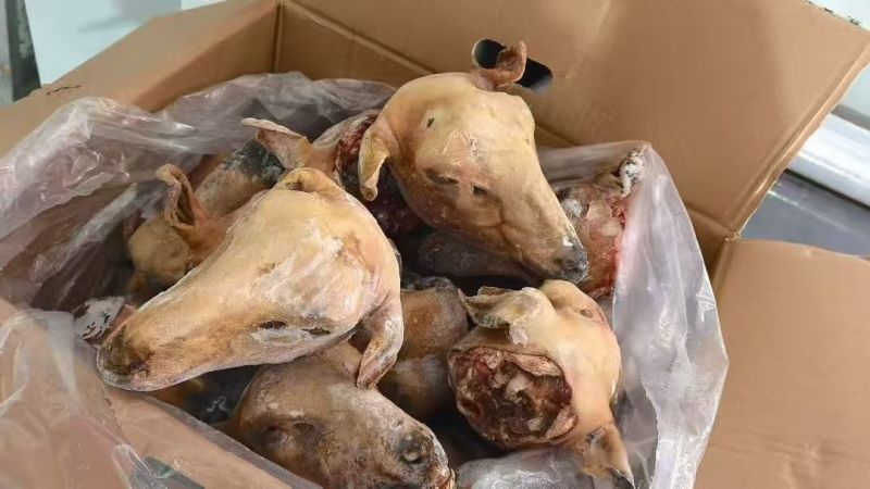 净羊头内蒙精品净羊头，工厂直发量大从优货源充足欢迎来电