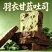 一件代发羽衣甘蓝土司63g/片一件代发