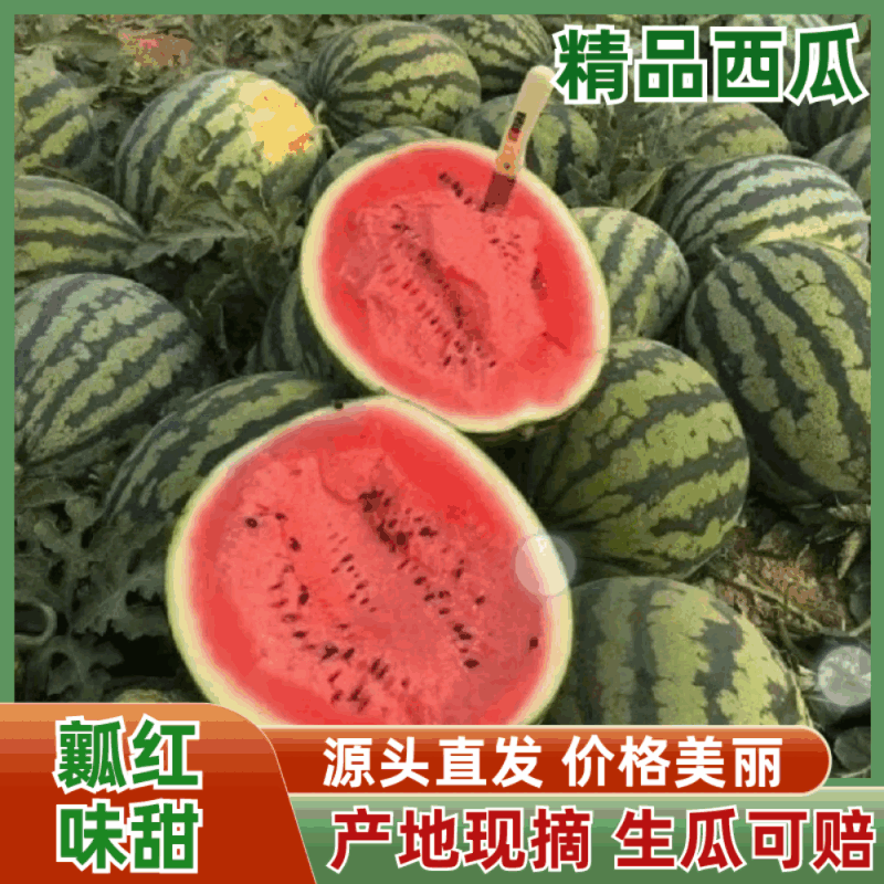 【甜王西瓜】保定清苑区西瓜大量上市，一手货源欢迎咨询