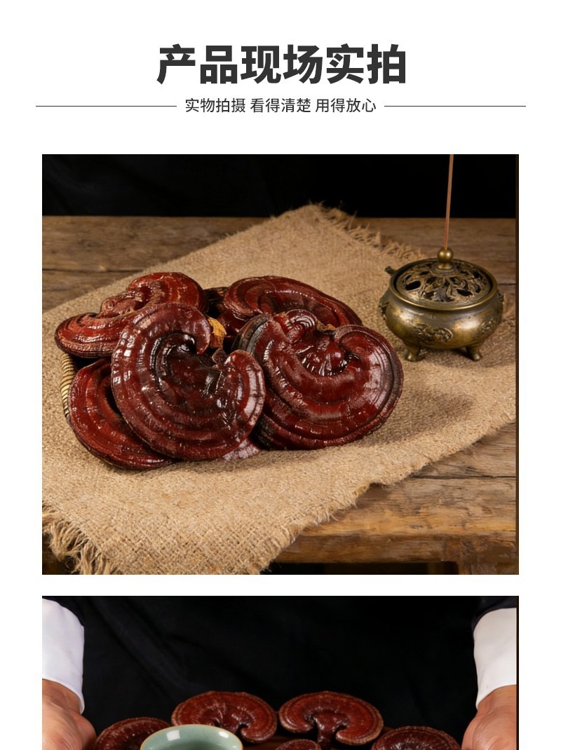批发红灵芝泰山赤灵芝山东灵芝源头基地专业直供