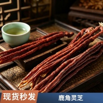 鹿角灵芝整枝干货产地直供灵芝草泡酒煲汤中药材批发