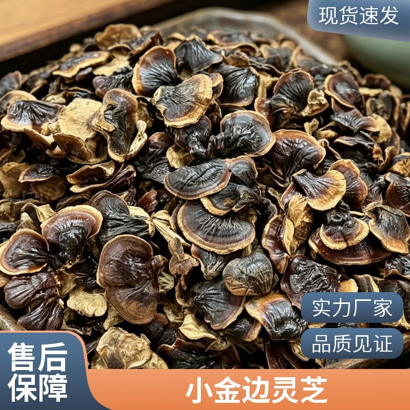 批发小金边灵芝整枝灵芝山东黑灵芝不苦灵芝香芝