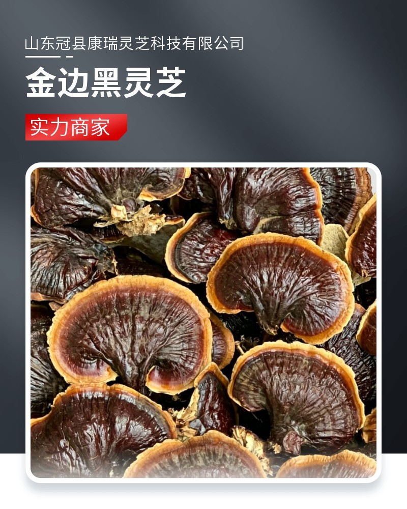 批发鲜灵芝金边灵芝不苦灵芝泡酒煲汤甜灵芝