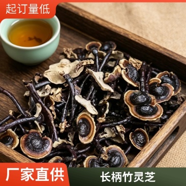 长柄竹灵芝批发黑芝仿野生灵芝不苦香灵芝金边灵芝