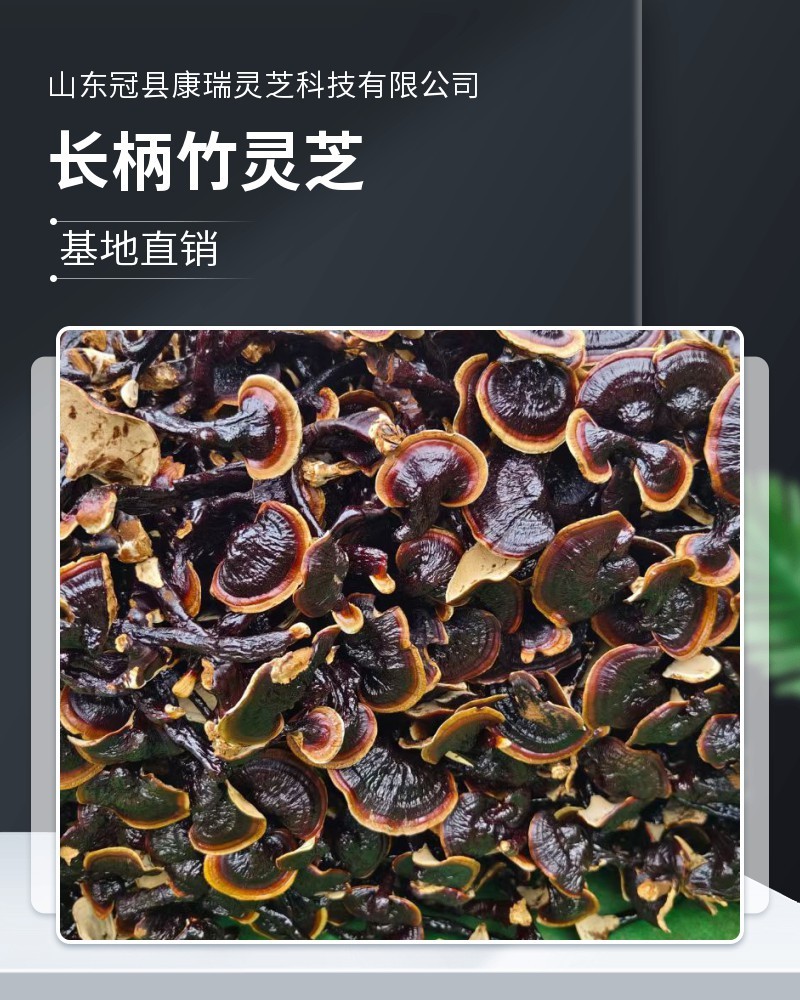 长柄竹灵芝批发黑芝仿野生灵芝不苦香灵芝金边灵芝