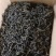芝麻叶农家自晒芝麻嫩叶