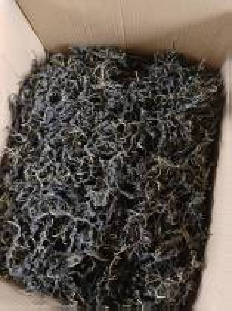 芝麻叶农家自晒芝麻嫩叶