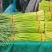 红帽蒜苔，精品蒜薹，大量新鲜现货速发欢迎选购