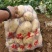 湖北襄阳南漳县实验1号土豆种植基地货源2026现货直发