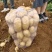 湖北襄阳南漳县实验1号土豆种植基地货源2026现货直发