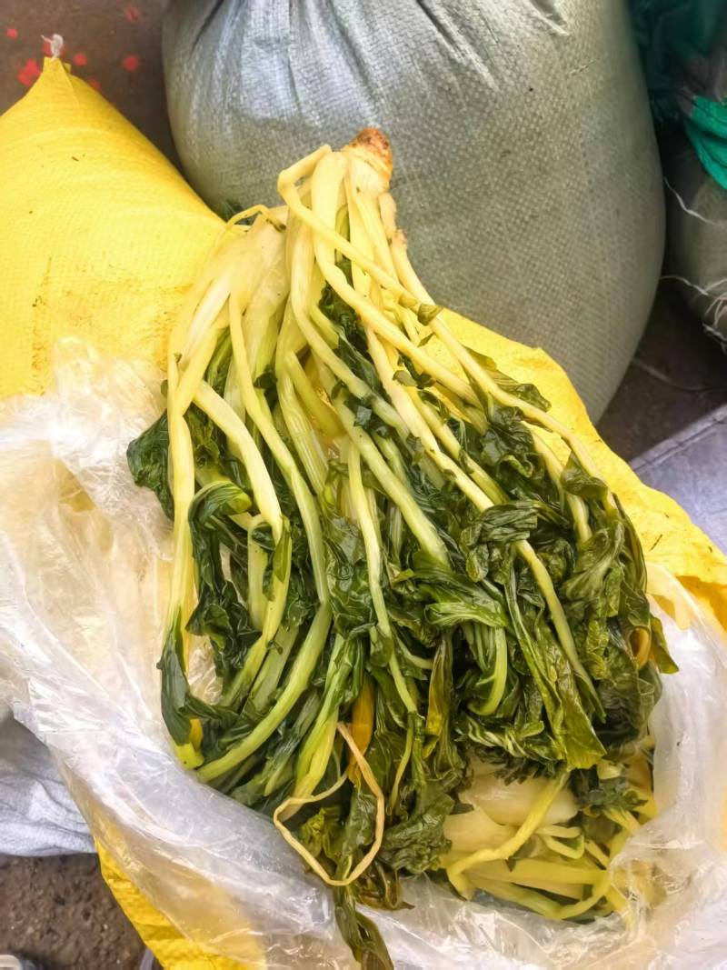 酱菜