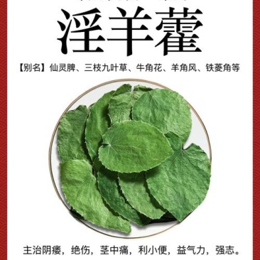 甘肃小圆叶淫羊藿鲜采先发包邮发货产地一手货源