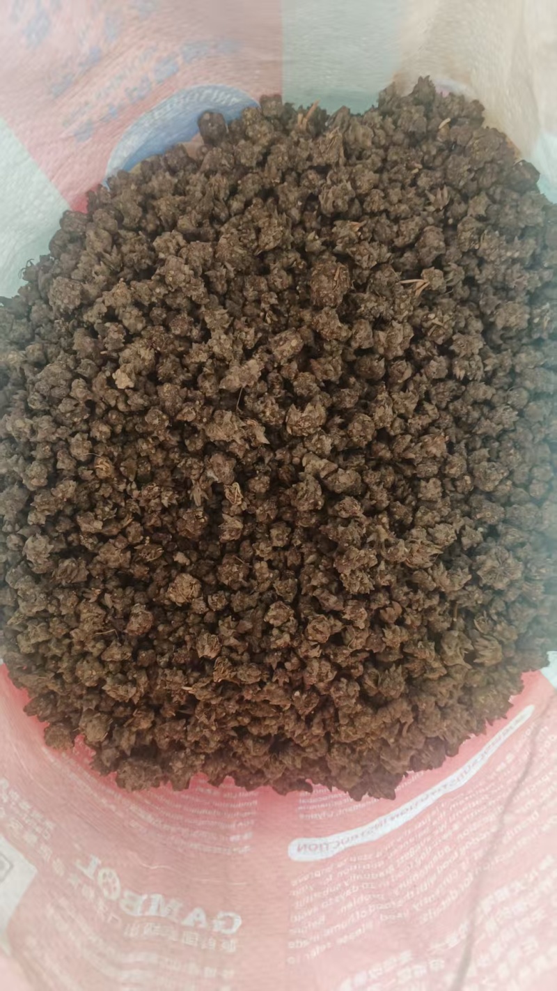 猫爪草产地直发精品猫爪草爪形完整一条龙服务对接全国