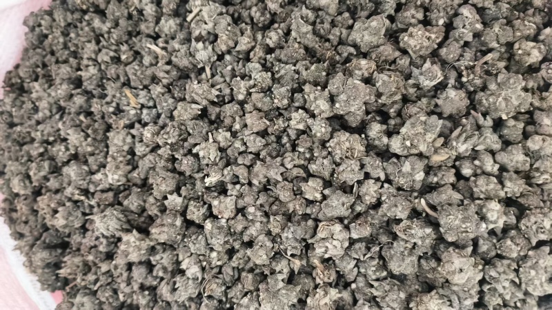 猫爪草产地直发精品猫爪草爪形完整一条龙服务对接全国