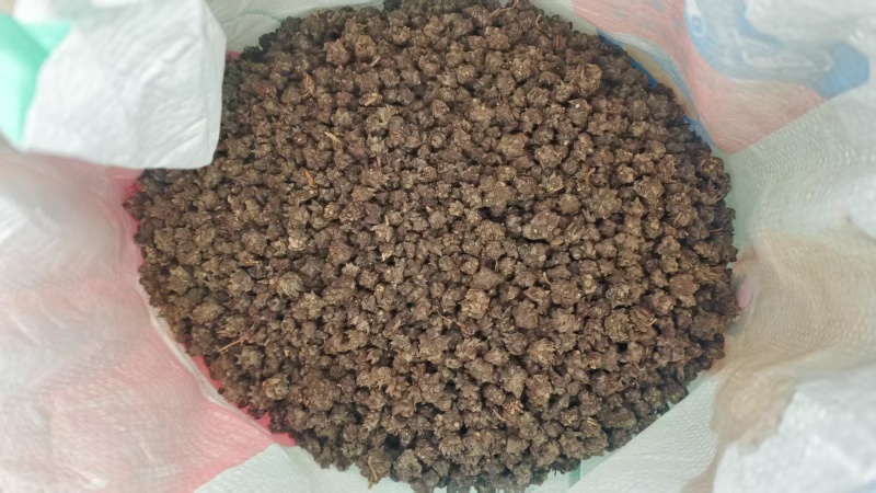 猫爪草产地直发精品猫爪草爪形完整一条龙服务对接全国
