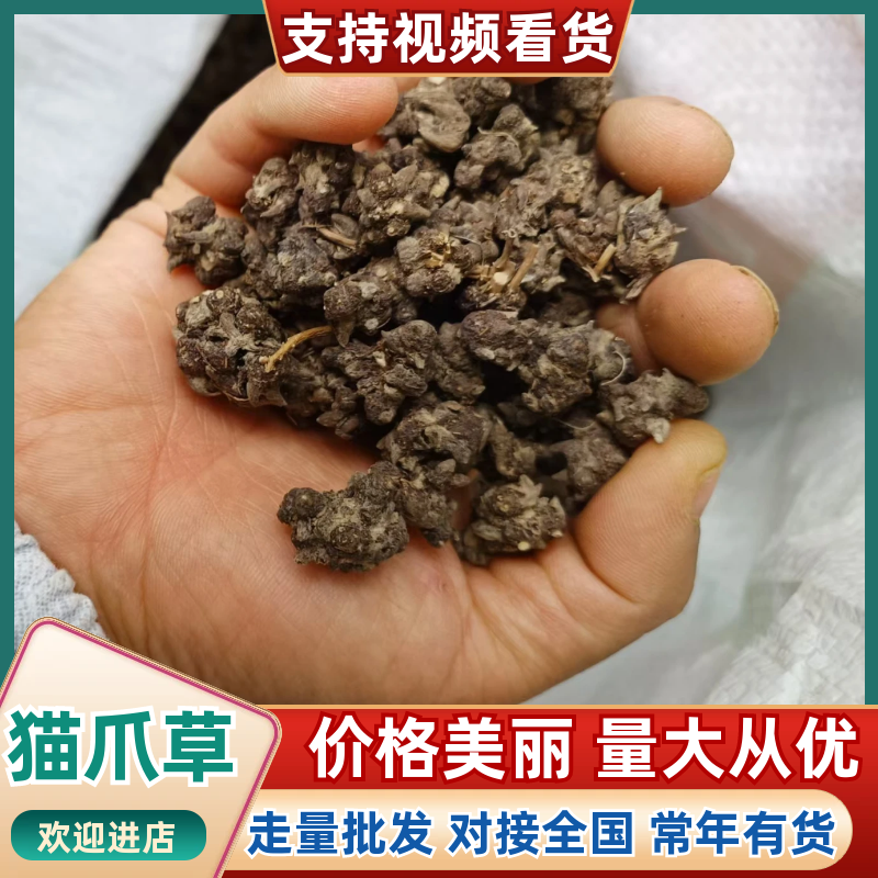 猫爪草产地直发精品猫爪草爪形完整一条龙服务对接全国