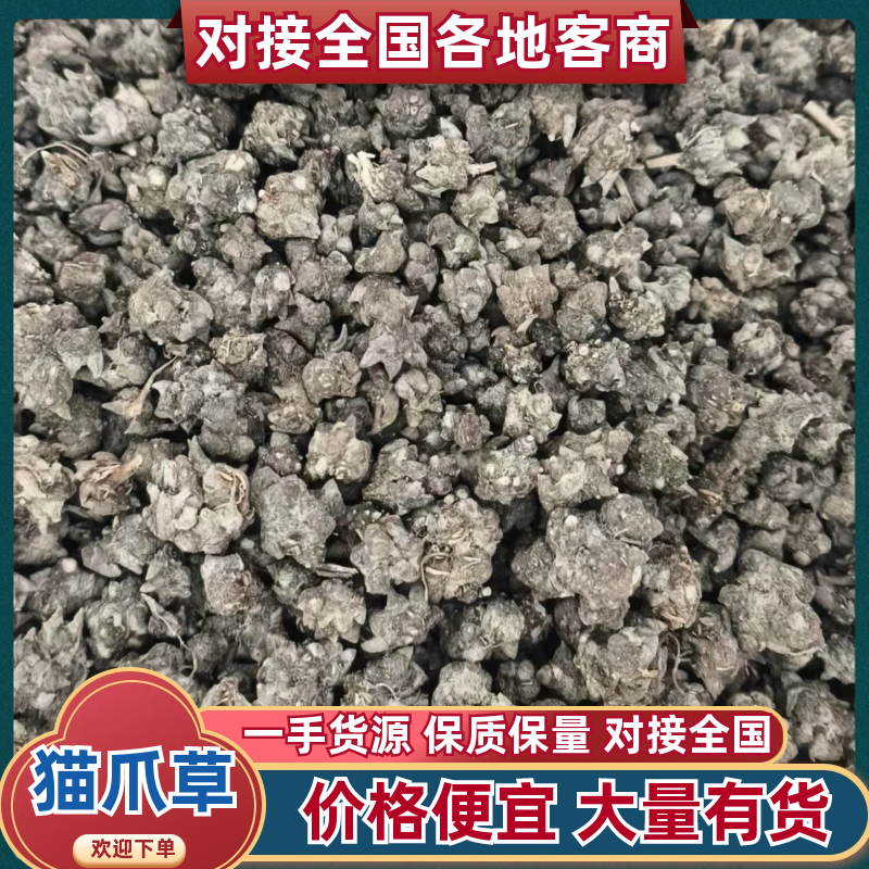 自家种植猫爪草批发块根饱满紧实、爪形完整，无硫熏***