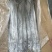 印度带鱼新鲜上市冷冻肉质鲜美量大优惠欢迎来电咨询