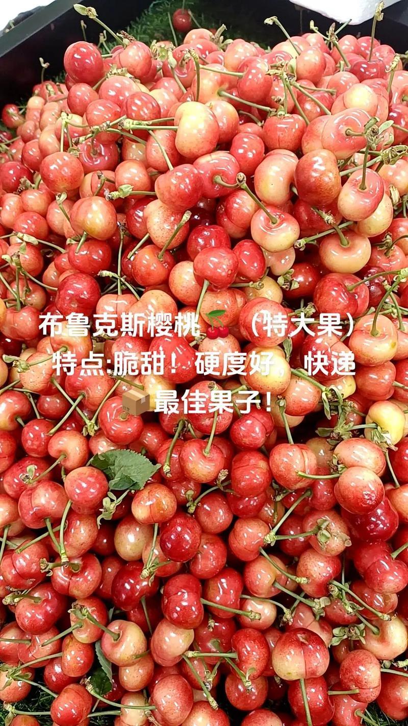 山西运城精品樱桃布鲁克斯樱桃口感清甜量大从优