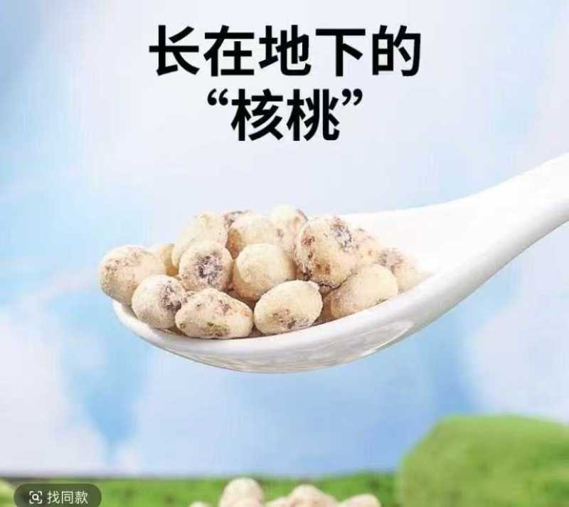 油莎豆，对接全国客商，批发，量大可议价，欢迎联系