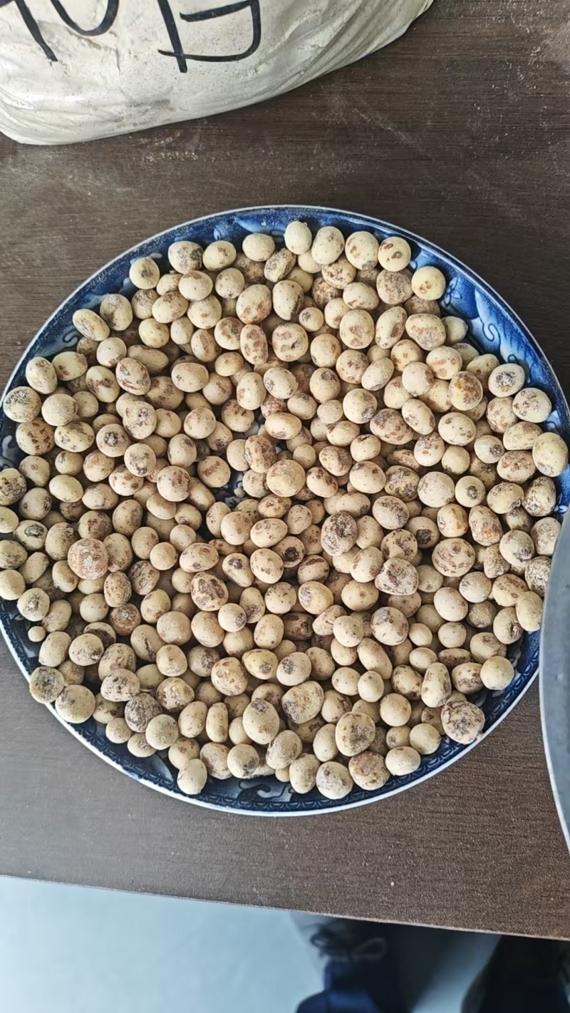 油莎豆，对接全国客商，批发，量大可议价，欢迎联系