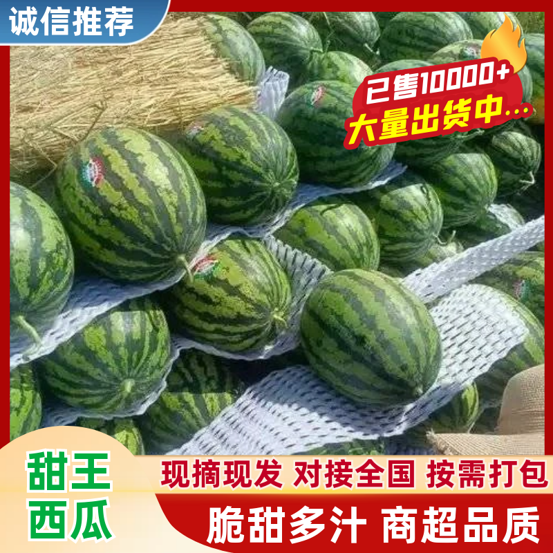 【甜王西瓜】大棚西瓜/山东甜王西瓜/基地批发/可全国发货