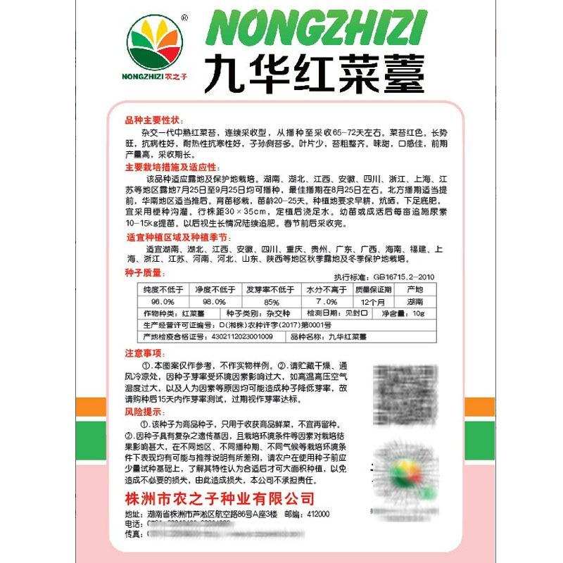 红菜苔种子紫菜心籽绿薹心四季春秋季10g产量高湖北