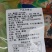 手工腌辣椒240g/包一件代发
