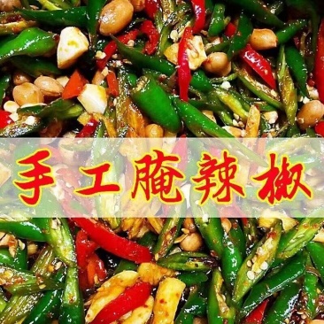 手工腌辣椒240g/包一件代发