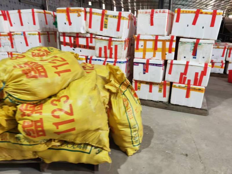 番石榴品质保证服务周到产地直发价格美丽欢迎联系