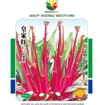 红菜苔种子皇家红中早熟湖北贵州红皮秋播耐热耐寒菜心种