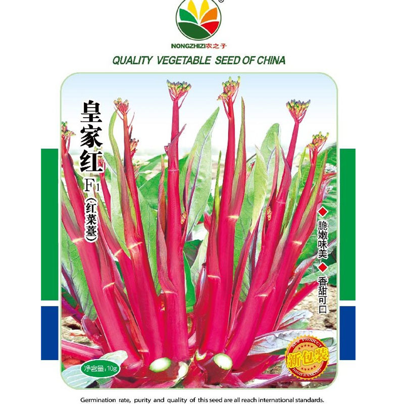红菜苔种子皇家红中早熟湖北贵州红皮秋播耐热耐寒菜心种