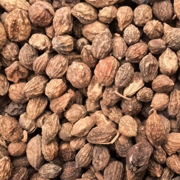 益智仁新货益智无硫水洗货批发各种香料